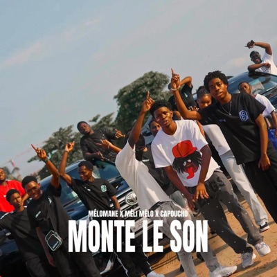 Melomane 69 - Monte le son (feat. meli melo & capoucho)