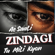 Ae Saali Zindagi Tu Mili Kyon - Ravi Gemini