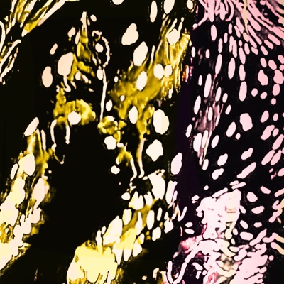 OVERL04D - Single