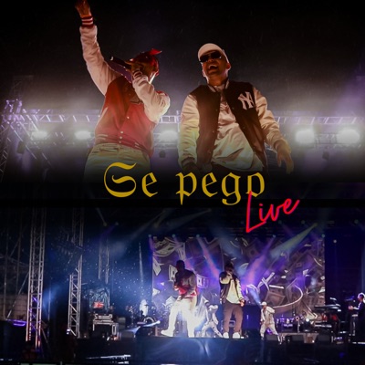 Se Pego (Live) [feat. Pj baby] - Single