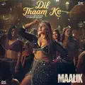 Dil Thaam Ke