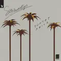 Sunset Drive (Extended Mix)