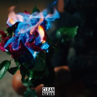 Dead Flowers - Single - Boldy James & Antt Beatz
