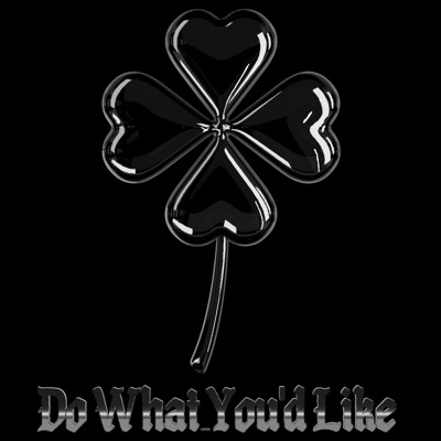 Do What You'd Like - Single