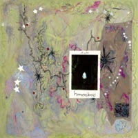 Homeostasis - MINTTT & Astrophysics