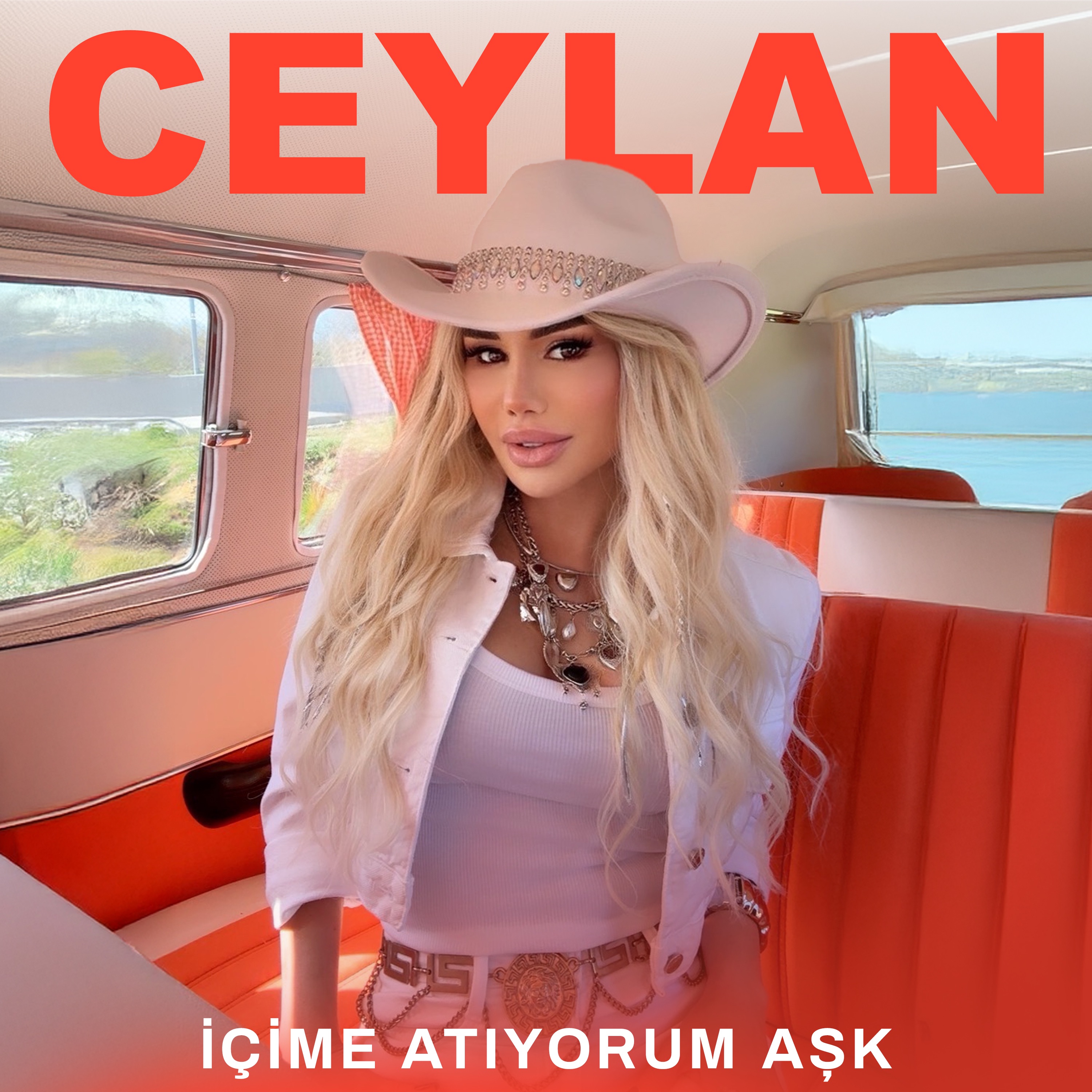 İçime Atıyorum Aşk - Single