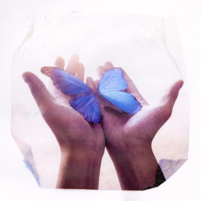 PALETTE - Single