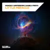 Little Miracle