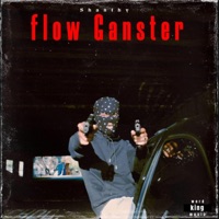Flow Ganster - Single - Shanthy