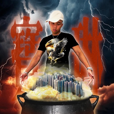 Po Lam 寶琳 - Single