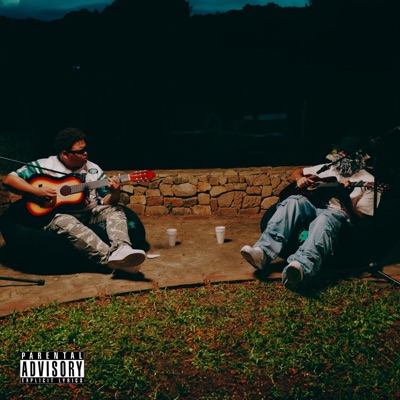 NADA PERSONAL COMPAÑERO - Single