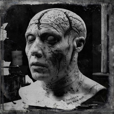 In The Gray - Single