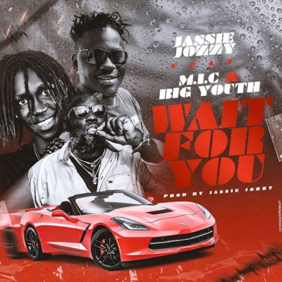 Wait for You (feat. M.I.C & Big Youth) - Single