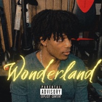 Wonderland - NateAlex
