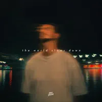 The World Slows Down — NOVEMBER KID
