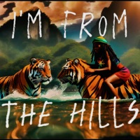 I'M FROM THE HILLS (CATLOCKS Remix) - Single - Meleto