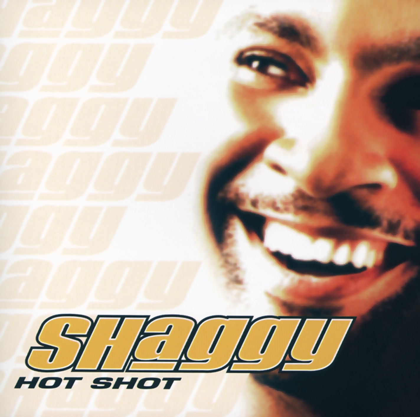 SHAGGY - IT WASN'T ME (mp3)