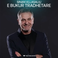 E bukur tradhetare (Gezuar 2021) - Single - Sinan Vllasaliu
