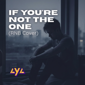 If You're Not The One