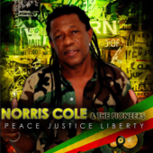 Peace Justice Liberty