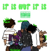 it is wut it is (feat. SSRqistolqete, snos, NINJA KAT & R3nea) - Single - wolo polo