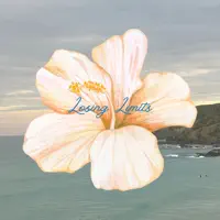 Lying in the Sun — Kook Joey