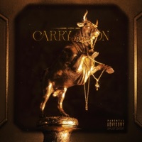 Carry On - Single - rex