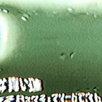 bleed out : - Single - deathroxx