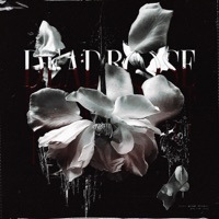 deadrose - Single - DJ ANEMIA