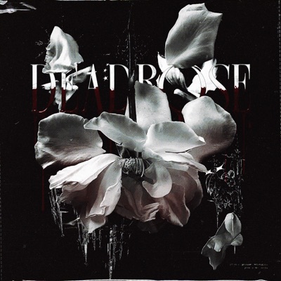 deadrose - Single
