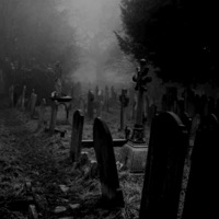 6 FEET? - Single - SARM? & Noise