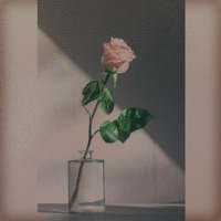 maybe we can - Single - YkZ21