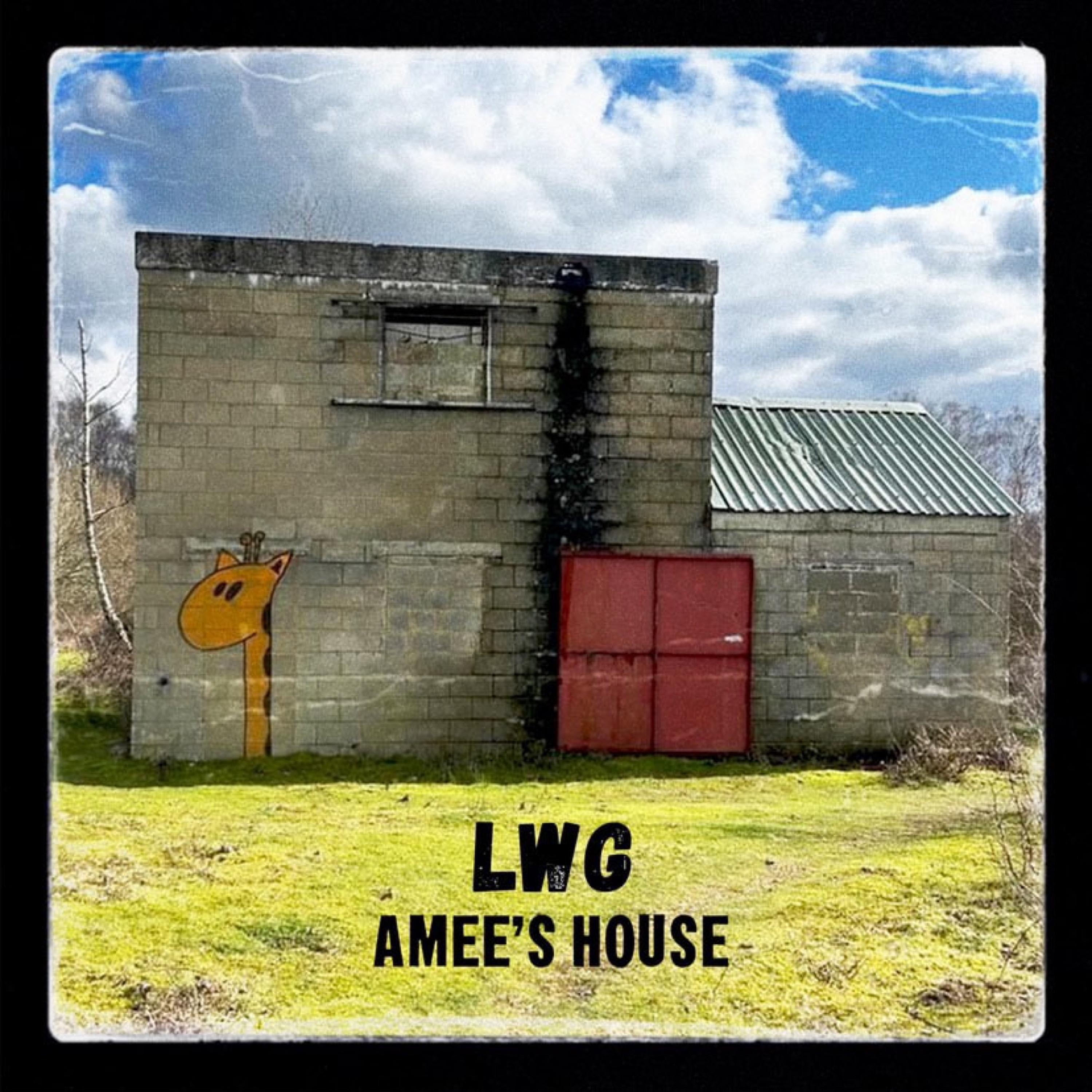 Amee's House (VIP Mix) - Single