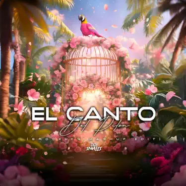 El Canto Del Pilon (Brooklyn Version)