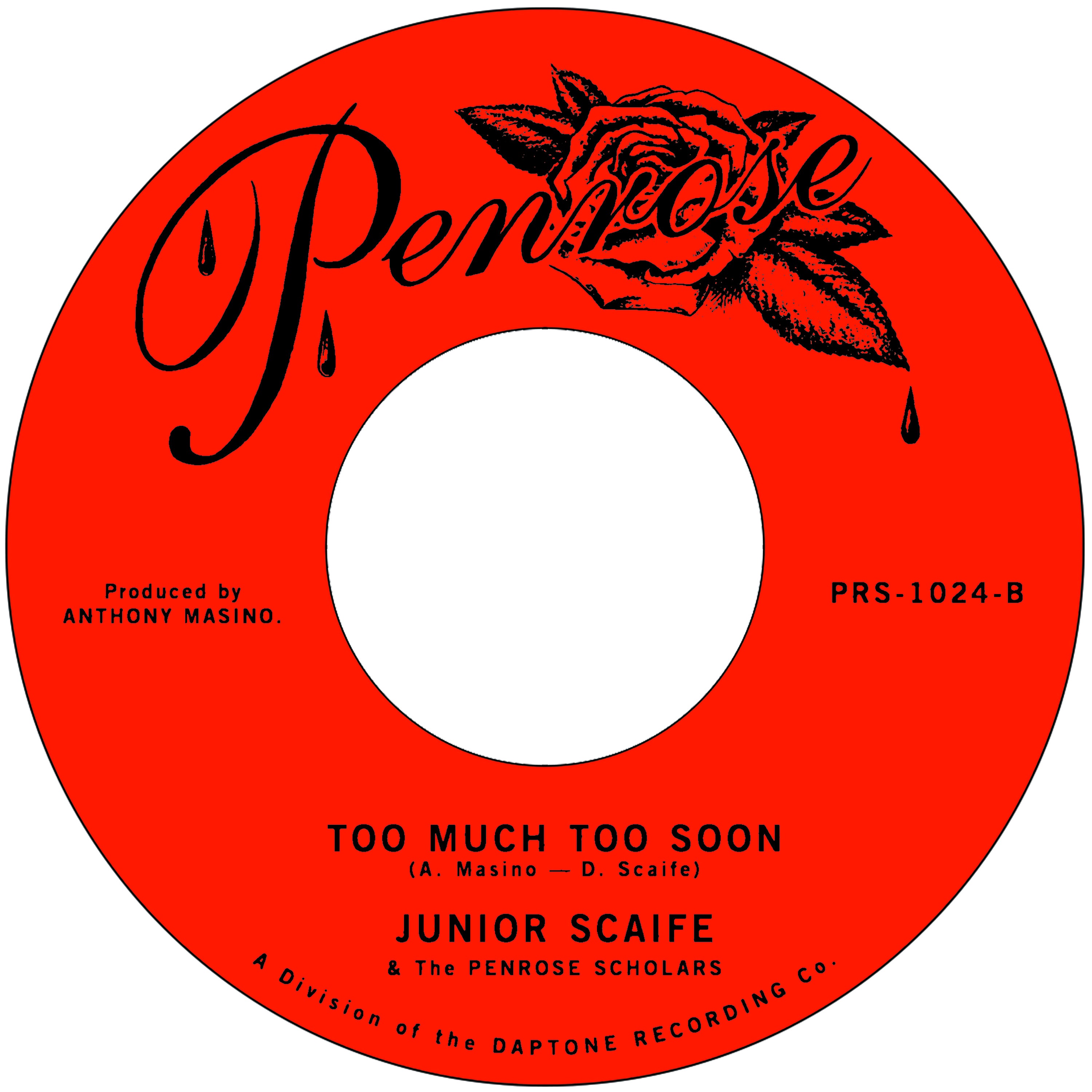 Too Much Too Soon - Single