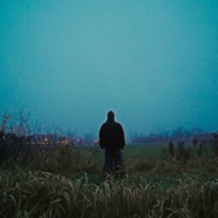 Seco - Single - Swallow X