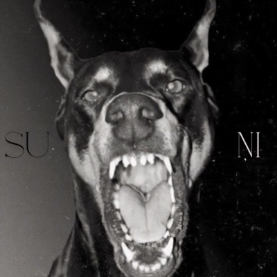 Suņi (feat. Cykababy, Gengaarz & Pajūgs) - Single