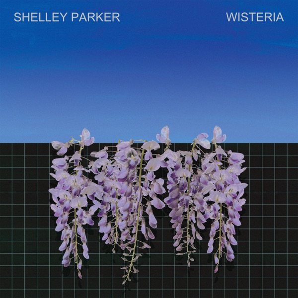 Wisteria