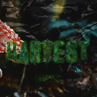 Harvest Spring Capsule : Obonjaneni Ballads - EP - Leverage_A1
