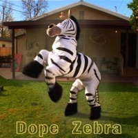 Dope Zebra - Single - Rhett and Link