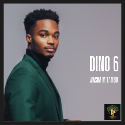 WASHA MITAMBO (Dino 6) - Single