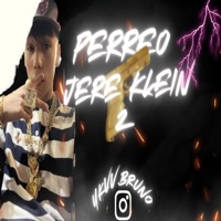 Album cover for Perreo Jere Klein 2 - Single by deejay bruno