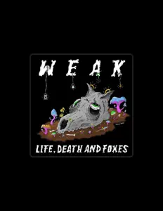 聆聽 WEAK、觀看音樂影片、閱讀小傳、查看巡演日期等！