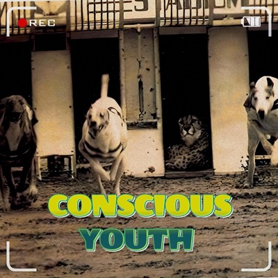 Conscious Youth (feat. IPLZM3) - Single