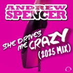 She Drives Me Crazy (2025 Mix) - Single