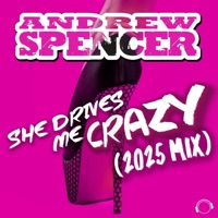 She Drives Me Crazy (2025 Mix)