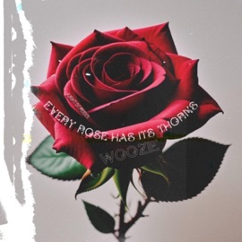 Oregano (feat. Kony.SSN) Woozie