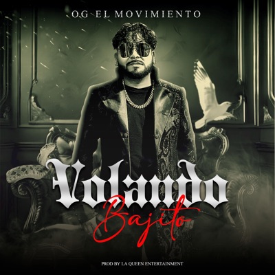 Volando Bajito - Single