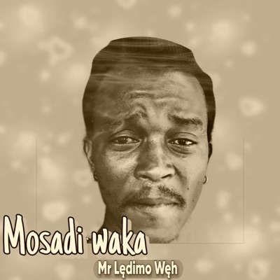 Mosadi waka (Sped up Version) - Single