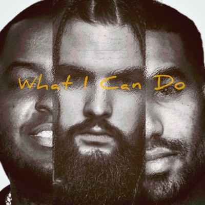 What I Can Do (feat. Sean Kingston & Futuristic) - Single